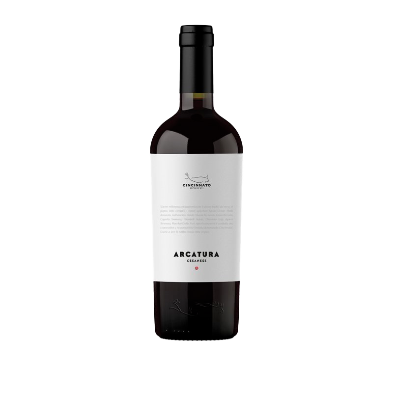 Arcatura